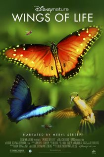 دانلود دوبله فارسی فیلم Pollen 2011 دانلود دوبله فارسی فیلم Pollen 2011