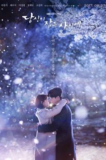 دانلود سریال While You Were Sleeping با زیرنویس چسبیده دانلود سریال While You Were Sleeping با زیرنویس چسبیده