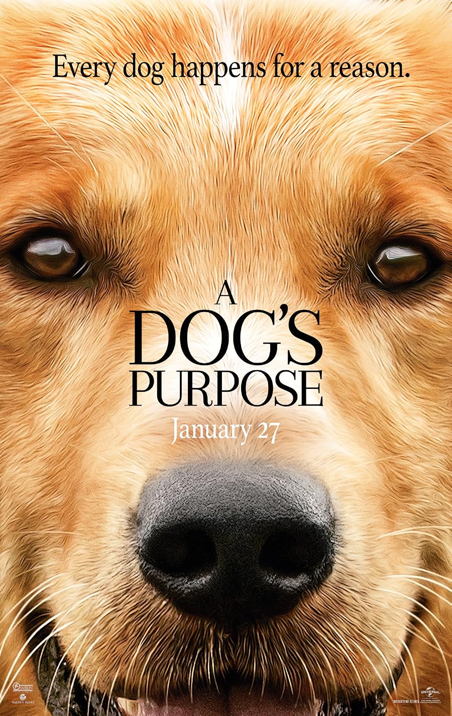 دانلود فیلم A Dog’s Purpose 2017 دانلود فیلم A Dog’s Purpose 2017