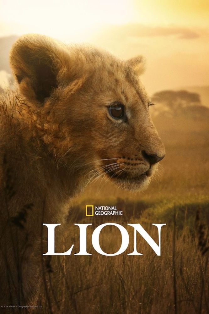 دانلود مینی سریال Lion 2026